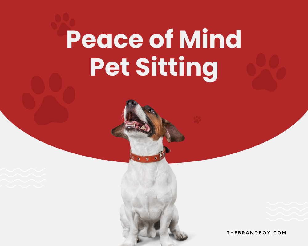 682-catchy-pet-sitting-slogans-and-taglines-thebrandboy