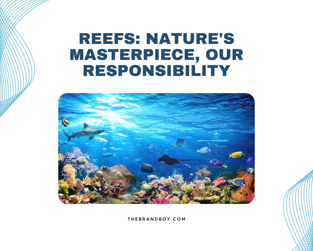 671+ Best Coral Reefs Slogans (Generator + Guide)