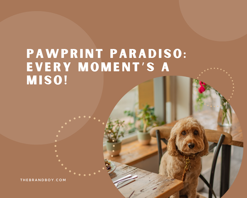 781 Catchy Dog Sitting Slogans And Sayings Generator Guide 781-catchy-dog-sitting-slogans-and-sayings-generator-guide