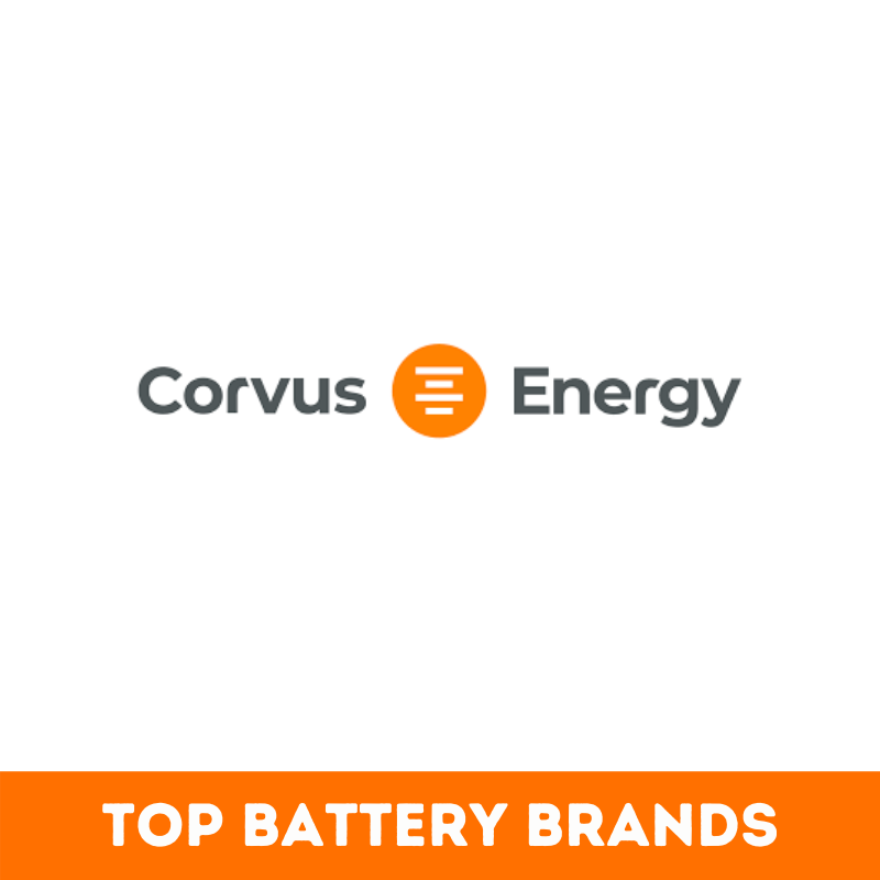 Top 51+ Best Battery Brands in the World