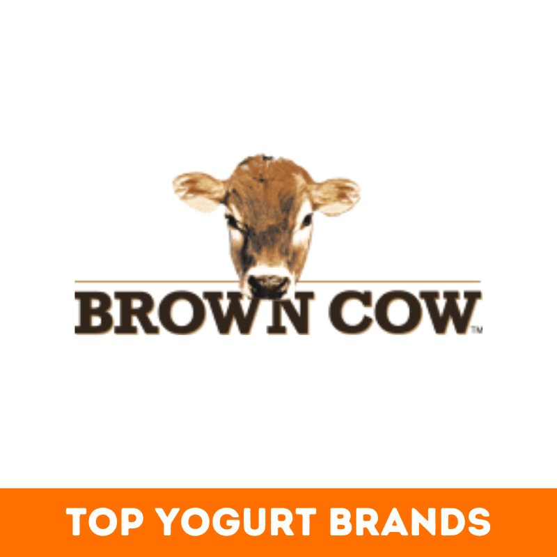 Top 48+ Best Yogurt Brands of the World BeNextBrand