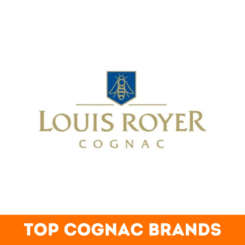 Top 24+ Best Cognac Brands in the World