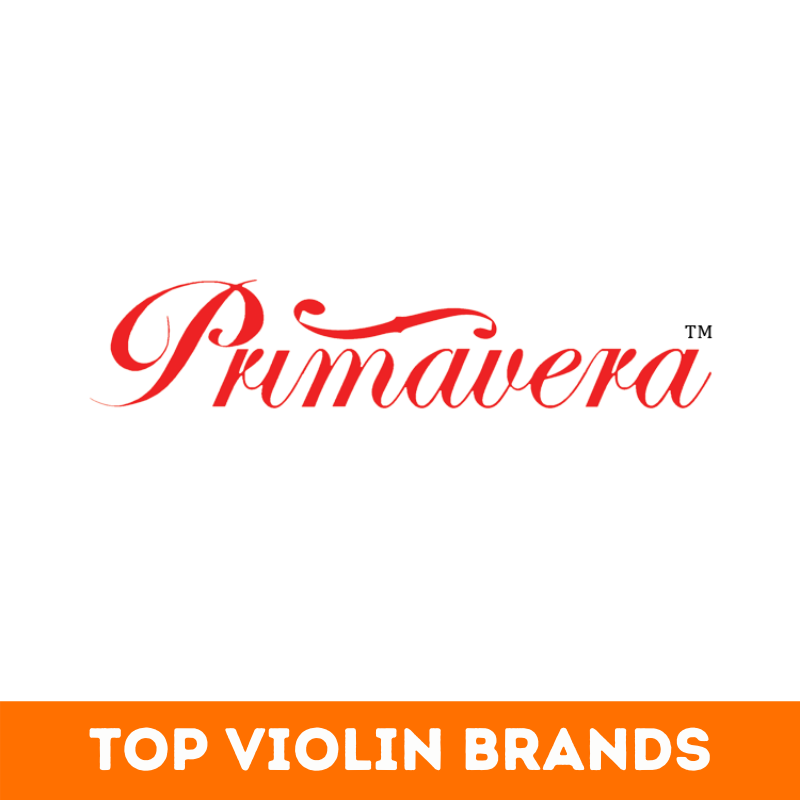 Top 27+ Best Violin Brands in the World