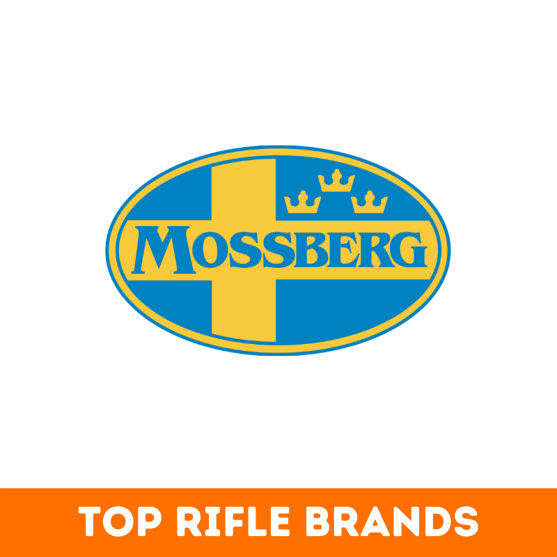 Top 34+ Best Rifle Brands in the World