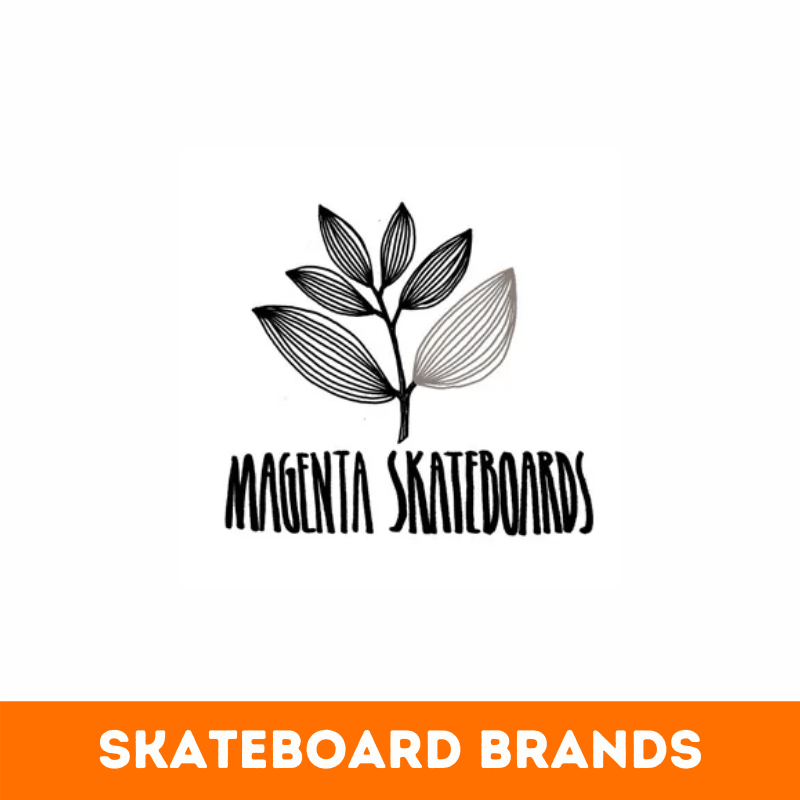 Top 29+ Best Skateboard Brands in the World