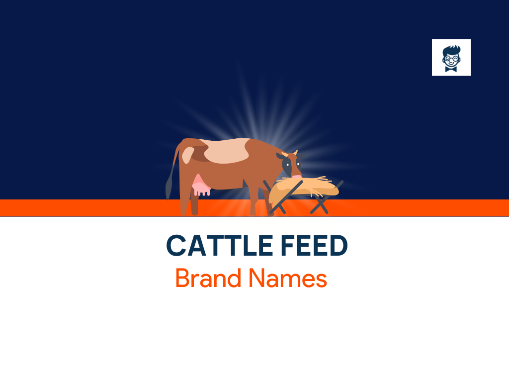 500+ Cattle Feed Brand Name And Ideas (Generator + Guide) - BrandBoy