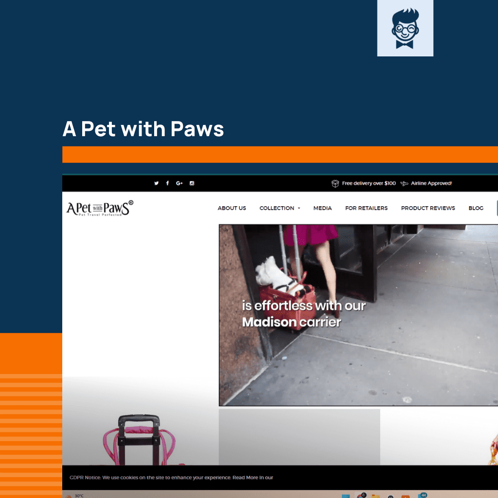 50+ Best Backpack Website Design Examples: Inspiring Layouts - BrandBoy