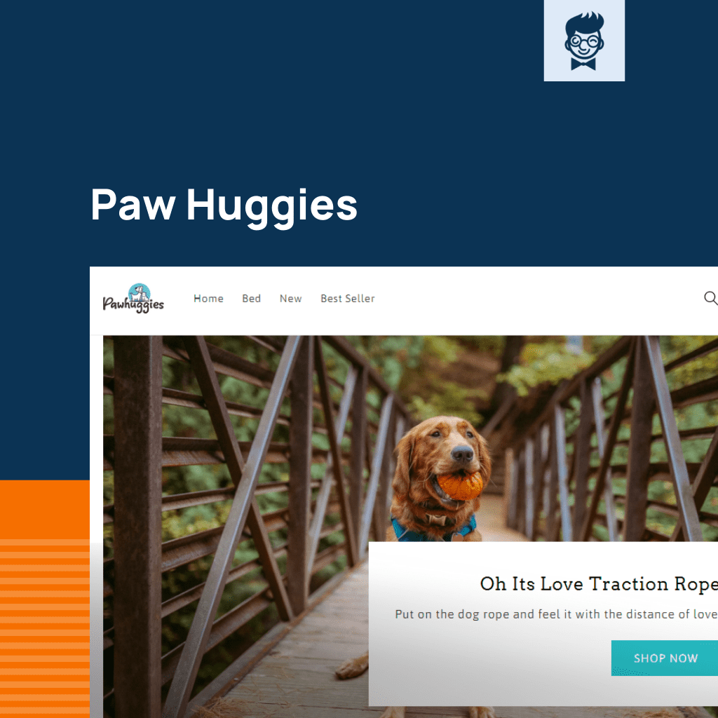 50+ Best Pet site Design Examples That Will Inspire You BrandBoy