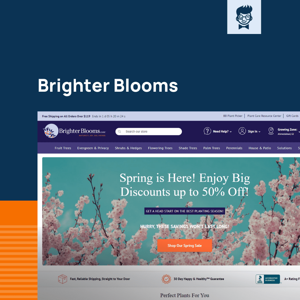 50 Best Florist site Design Examples That Will Wow You