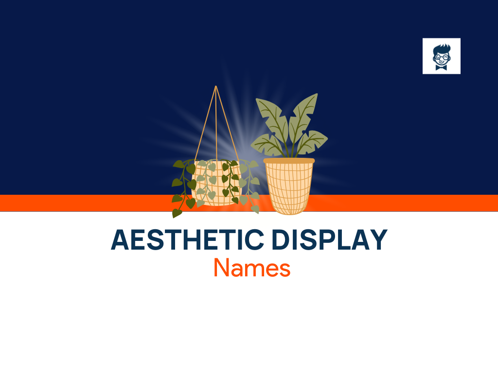 Aesthetic Display Names: 630+ Catchy And Cool Names - BrandBoy