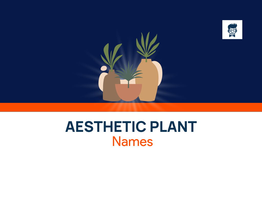 List Of Aesthetic Plant Names Collection (Generator) - BrandBoy