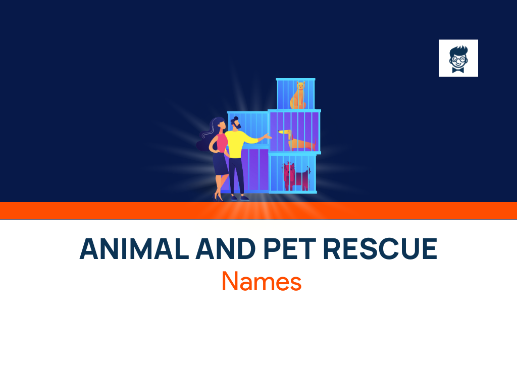 191+ Best Animal and Pet Rescue Names - BrandBoy