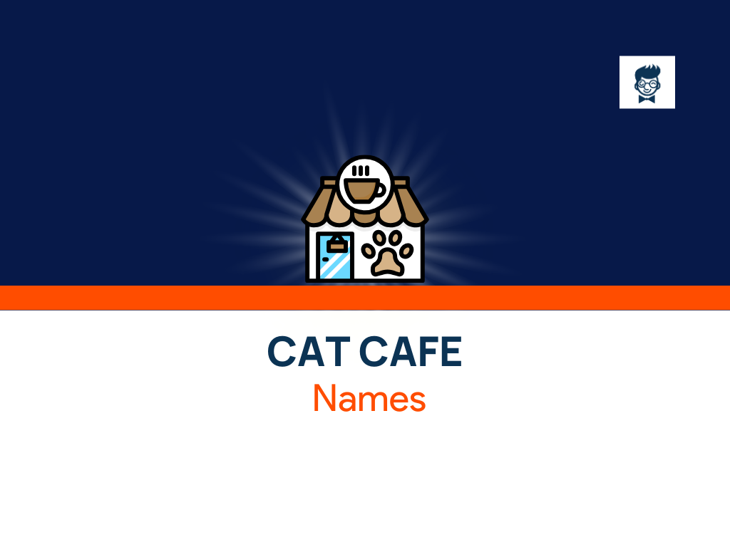 365-cute-cat-cafe-names-that-stuck-in-people-s-head-thebrandboy-com