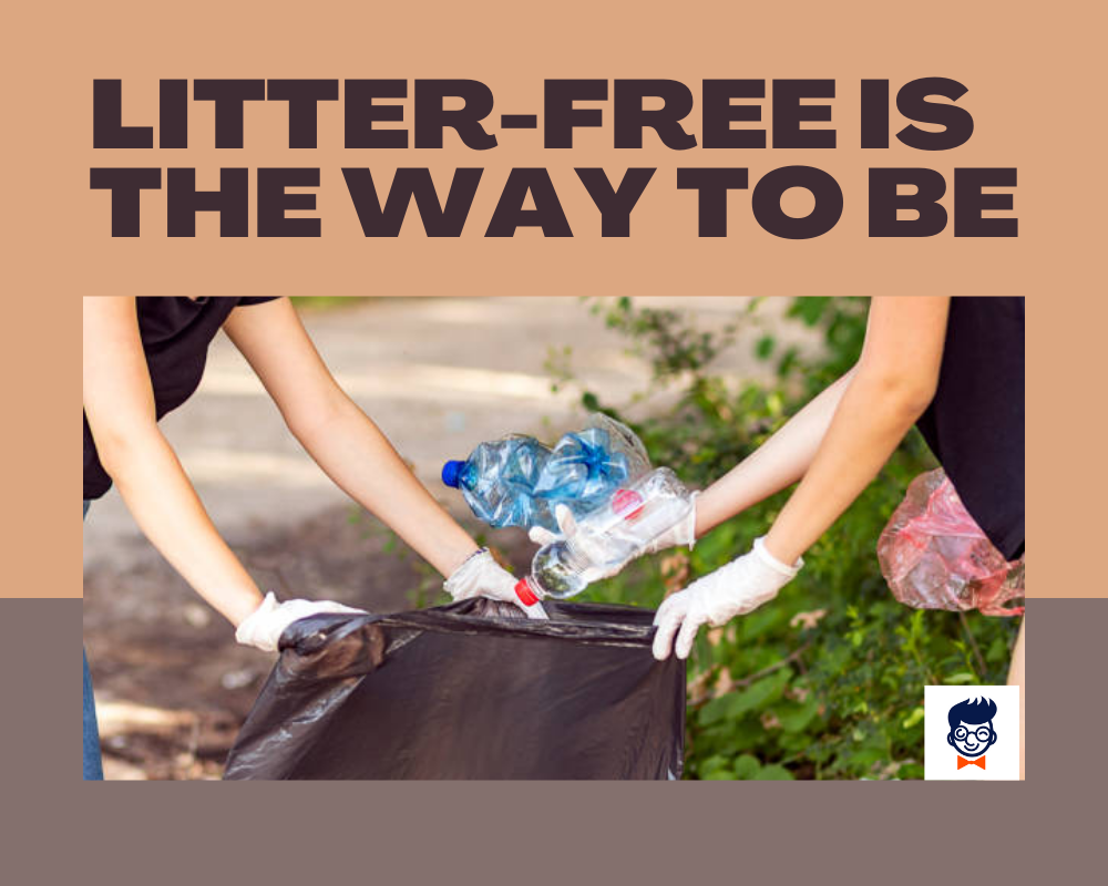 684+ Best AntiLittering Slogans and Phrases (Generator + Guide)