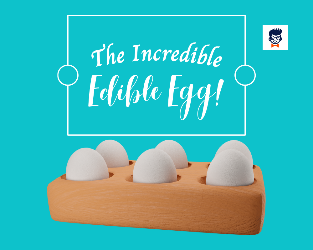 759+ Catchy Egg Slogans And Taglines (Geenrator + Guide) BrandBoy