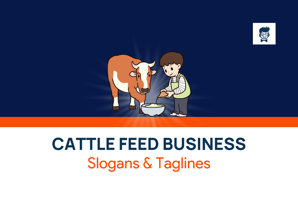cattle-feed-business-name-at-liam-threlfall-blog
