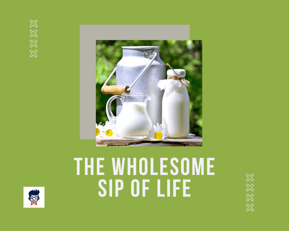 781+ Catchy Dairy Slogans And taglines (Geneartor + Guide) BrandBoy