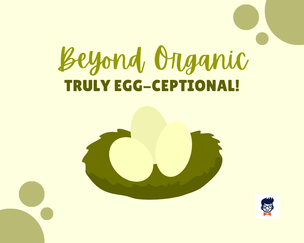 759+ Catchy Egg Slogans And Taglines (Geenrator + Guide) BrandBoy