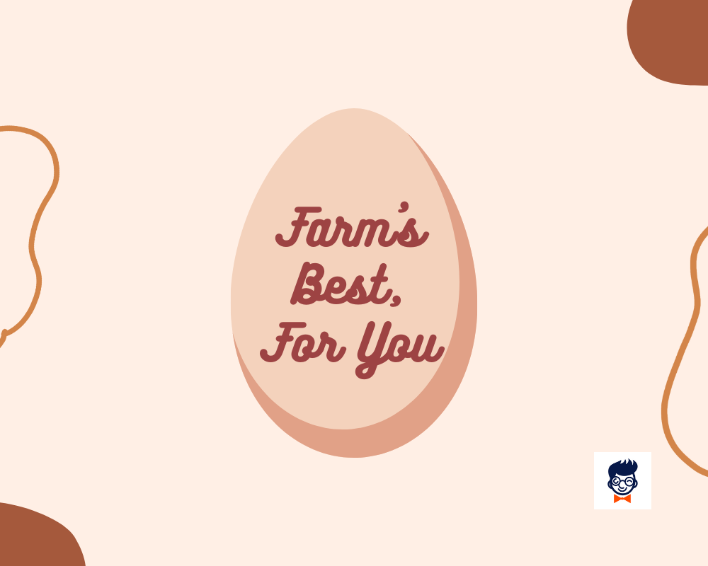 759-catchy-egg-slogans-and-taglines-geenrator-guide-brandboy