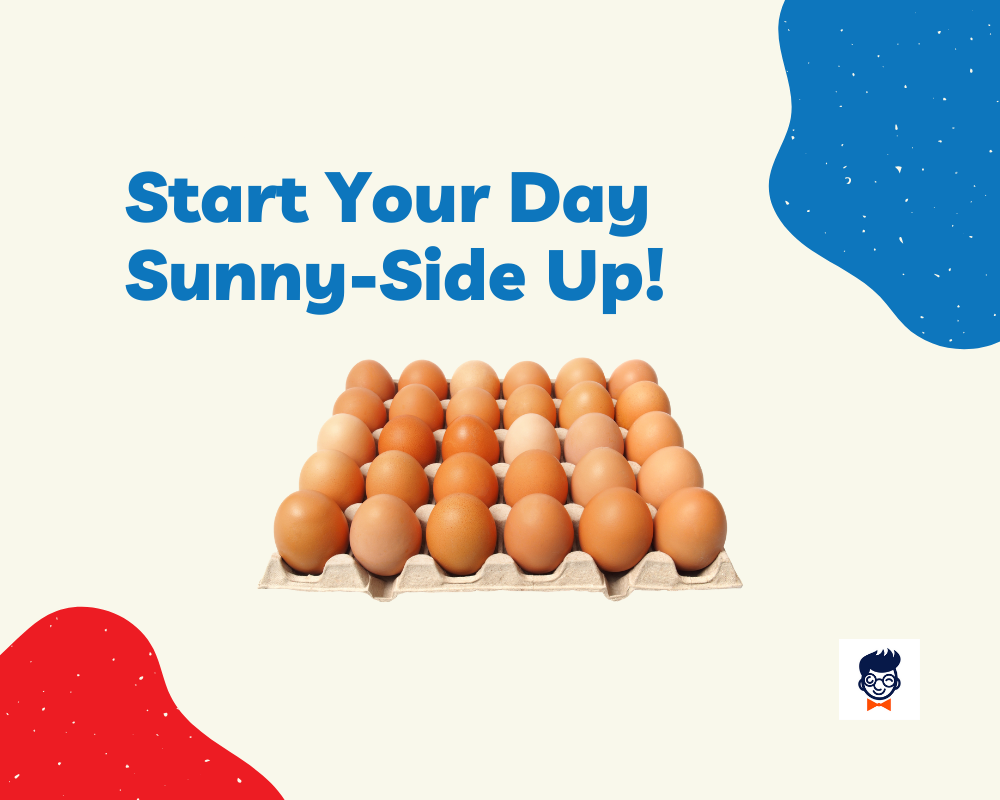 759+ Catchy Egg Slogans And Taglines (Geenrator + Guide) BrandBoy