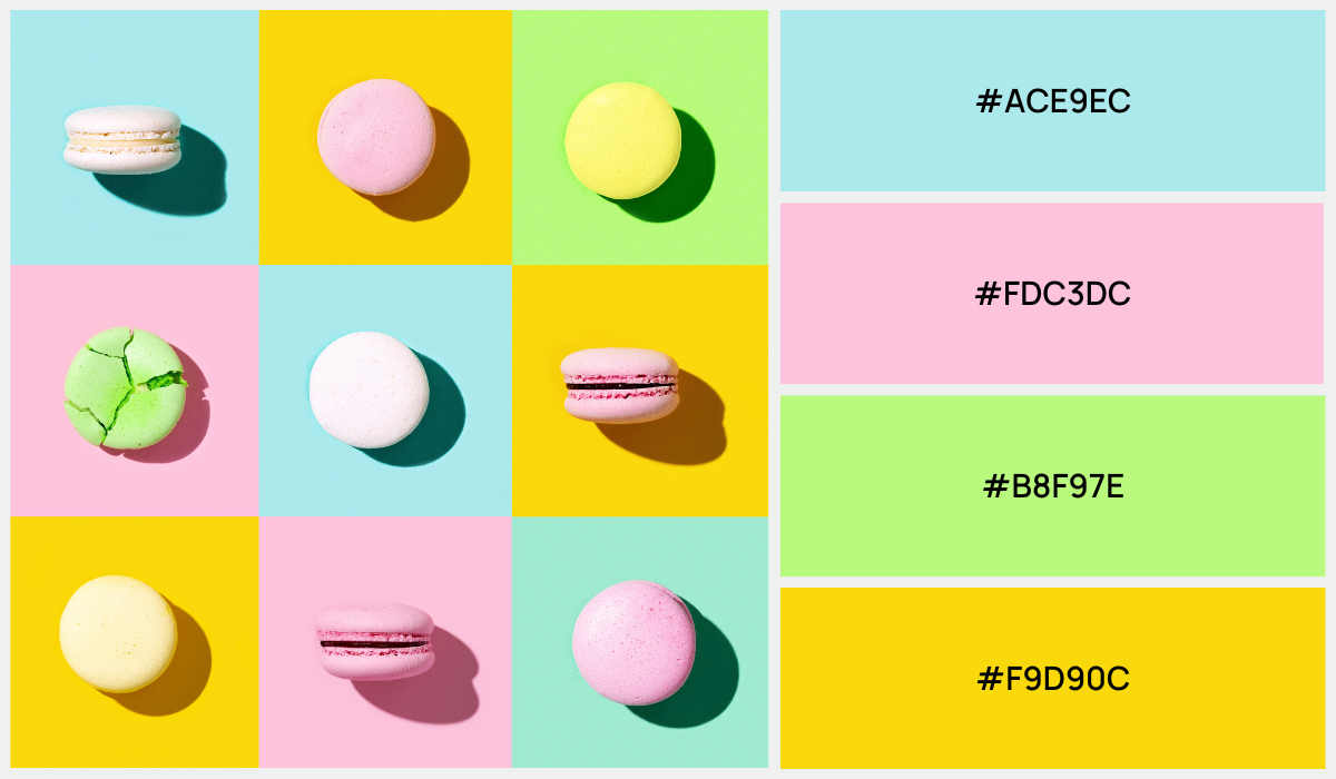 30+ Spring Color Palettes To Elevate Your Designs BrandBoy