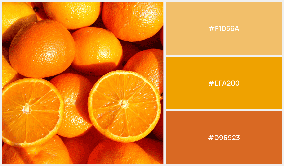 30+ Orange Color Palettes For Logo Design (Don't Miss Out) - BrandBoy