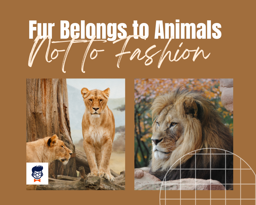 781-animal-slogans-to-protect-wildlife-brandboy