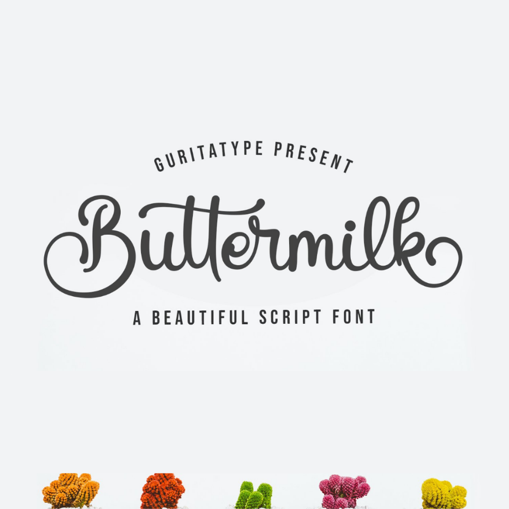 35+ Best Cursive Fonts For Your Logo and Branding