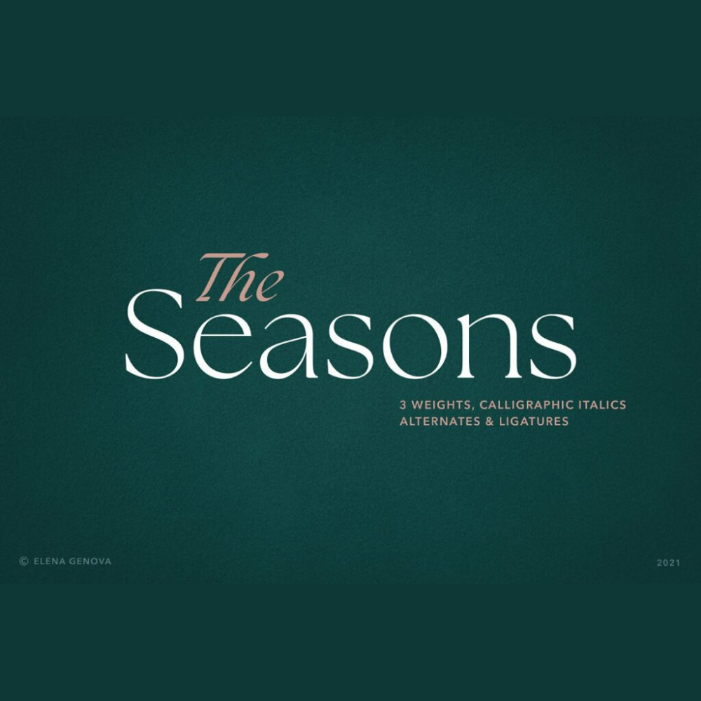 35+ Best Serif Fonts For Your Logo And Branding BrandBoy