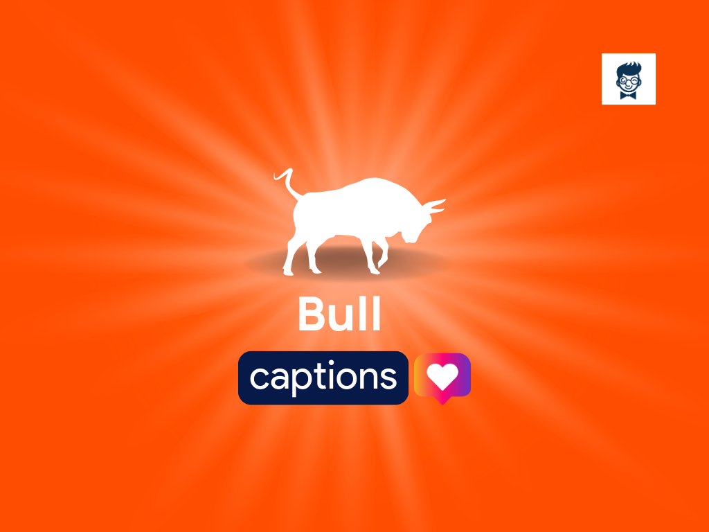 380+ Bull Captions For Instagram (Generator+Guide) - BrandBoy