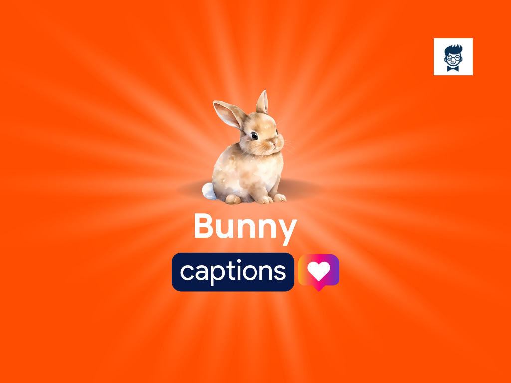 420+ Bunny Captions for Instagram - BrandBoy